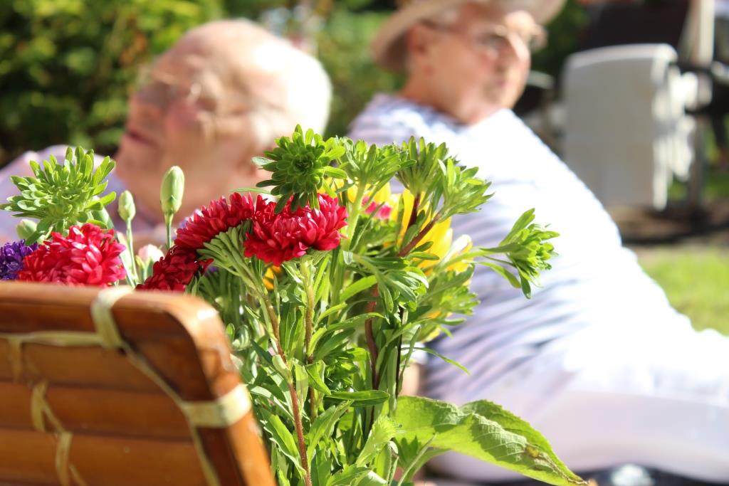 Ein Rentnerpärchen liegt im Garten in der Sonne, im Vordergrund ist scharf ein Blumenensemble zu sehen.